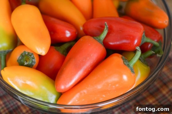 Close-up of Cheesy Sweet Pepper Nachos topped with fresh cilantro.