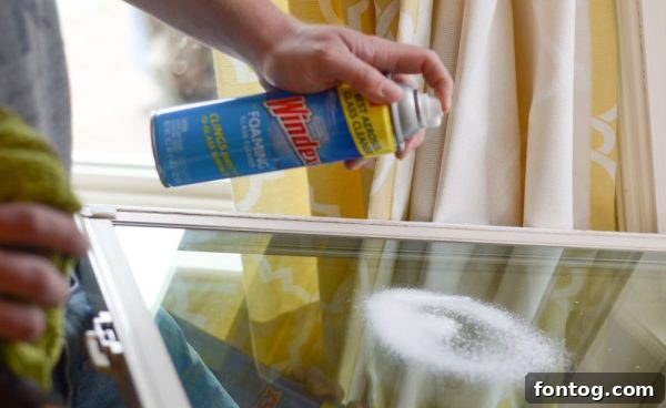 The sun shines brighter through windows cleaned with Windex® Foaming Glass Cleaner. #WindexSparkle #ad
