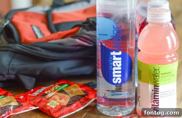 A family enjoying a scenic hike on a sunny day, showcasing the beauty of outdoor adventures.