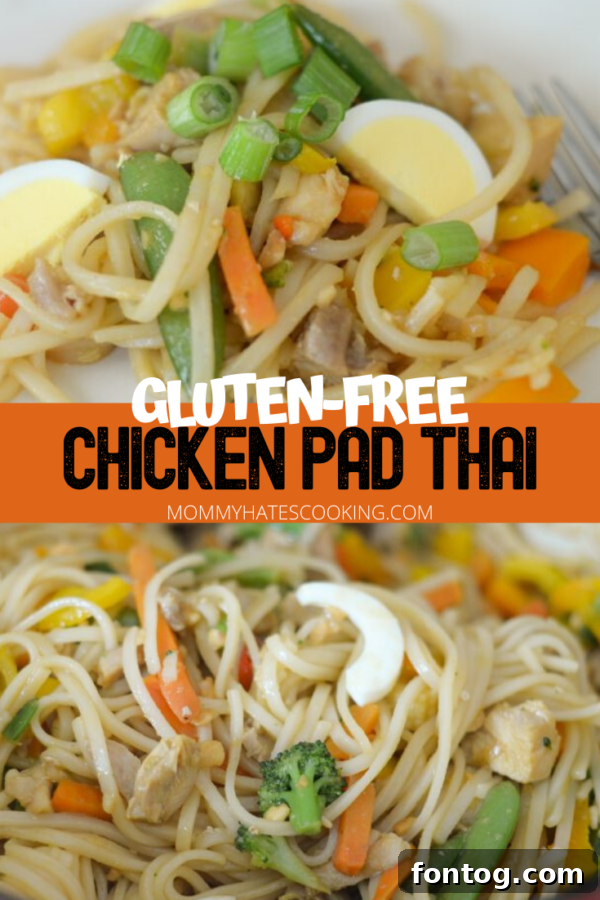 Large overhead shot of a finished plate of Gluten Free Chicken Pad Thai