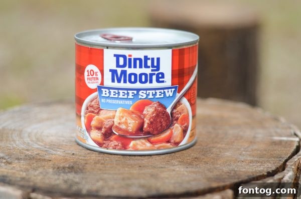 5 Summer Camping Essentials