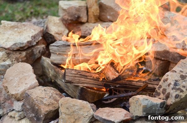 5 Summer Camping Essentials