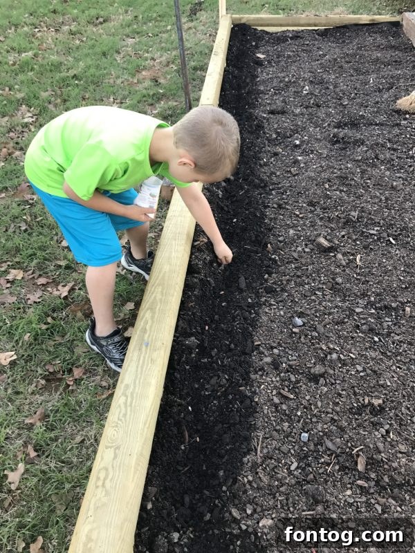 Child's hands gently placing a plant seedling into the soil, learning about gardening.