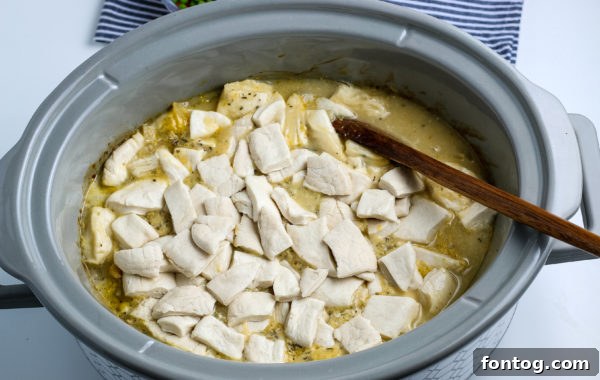 slow cooker chicken and dumplings with biscuits