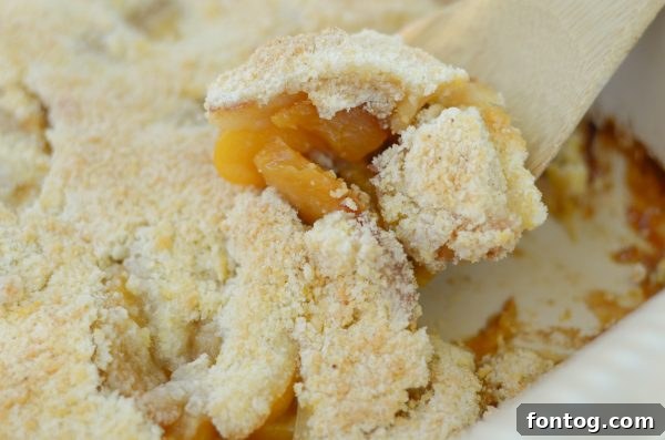 10 Summer Cookout Menu Staples for a Flawless Feast 11 Various refreshing beverages and ice buckets for a summer cookout. #SummerCookout #MasterSummer