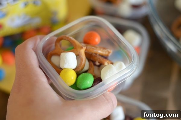 Sweet & Salty Trail Mix + Road Trip Tips