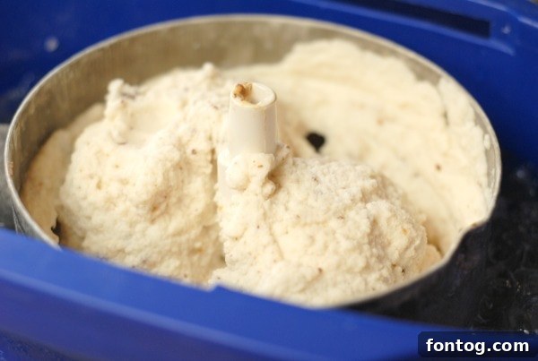 Assortment of Homemade Ice Cream Flavors for Summer