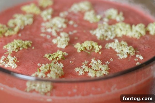 Fresh Elderflower blossoms scattered around Watermelon Pineapple Punch ingredients, emphasizing natural beauty