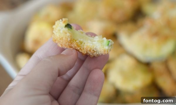 Air Fryer Fried Zucchini & Yellow Squash with breading