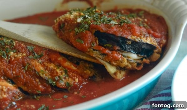 Comforting Gluten Free Eggplant Parmigiana 8 Plated serving of Gluten-Free Eggplant Parmigiana with fresh parsley