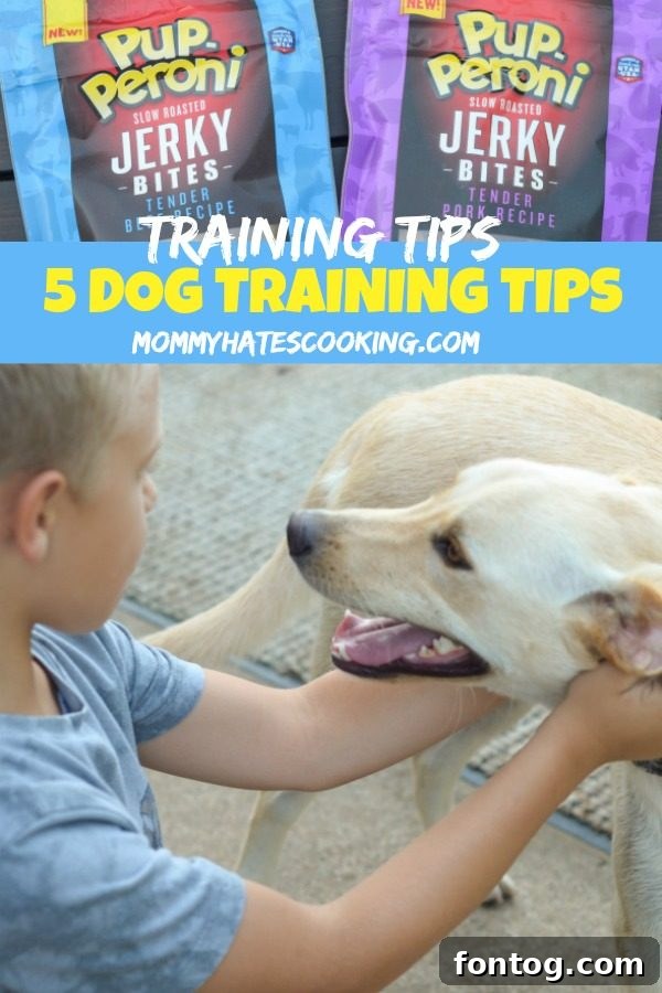 Infographic detailing 5 Essential Dog Training Tips