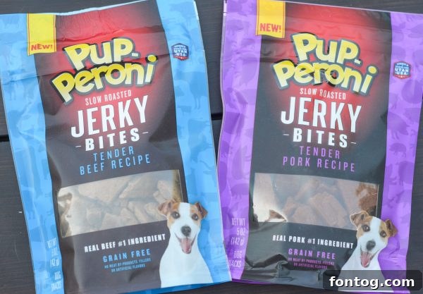 Dog leash with a bag of training treats, ready for a walk