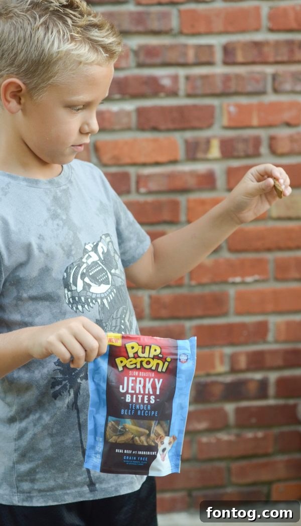 Callie the puppy eagerly awaiting a training treat from her owner