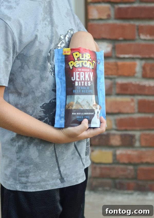 Well-behaved dog sitting patiently during a training session with owner