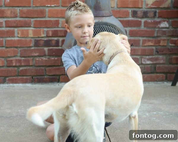 Energetic dog running and playing outdoors in a grassy area
