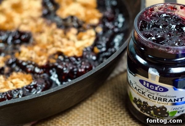 Serving of Black Currant Crisp with a generous scoop of vanilla ice cream.