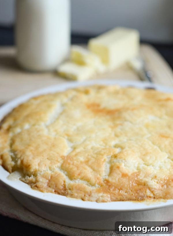 Gluten Free Creamy Chicken Pot Pie
