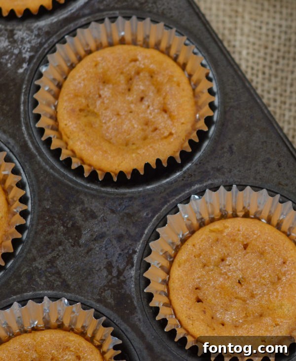 Easy to eat Gluten Free Pumpkin Pie Cupcakes