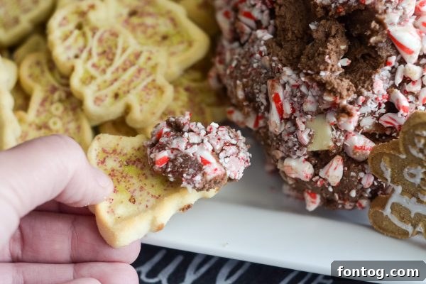 Peppermint Mocha No Bake Cheesecake Ball tips