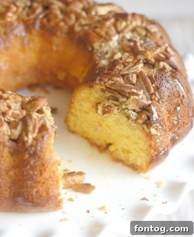 10 Gluten-Free Holiday Cake Recipes - Rum Cake