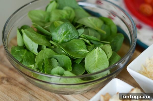 15 Effortless Salad Ideas 6 Chicken Caesar Pasta Salad