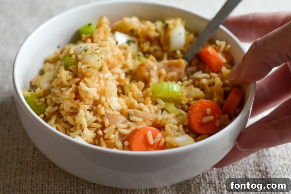 Air Fryer Chicken Fried Rice