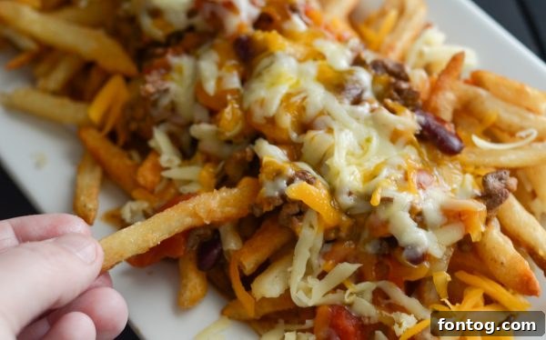 Nacho Chili Cheese Fries with a side of ketchup