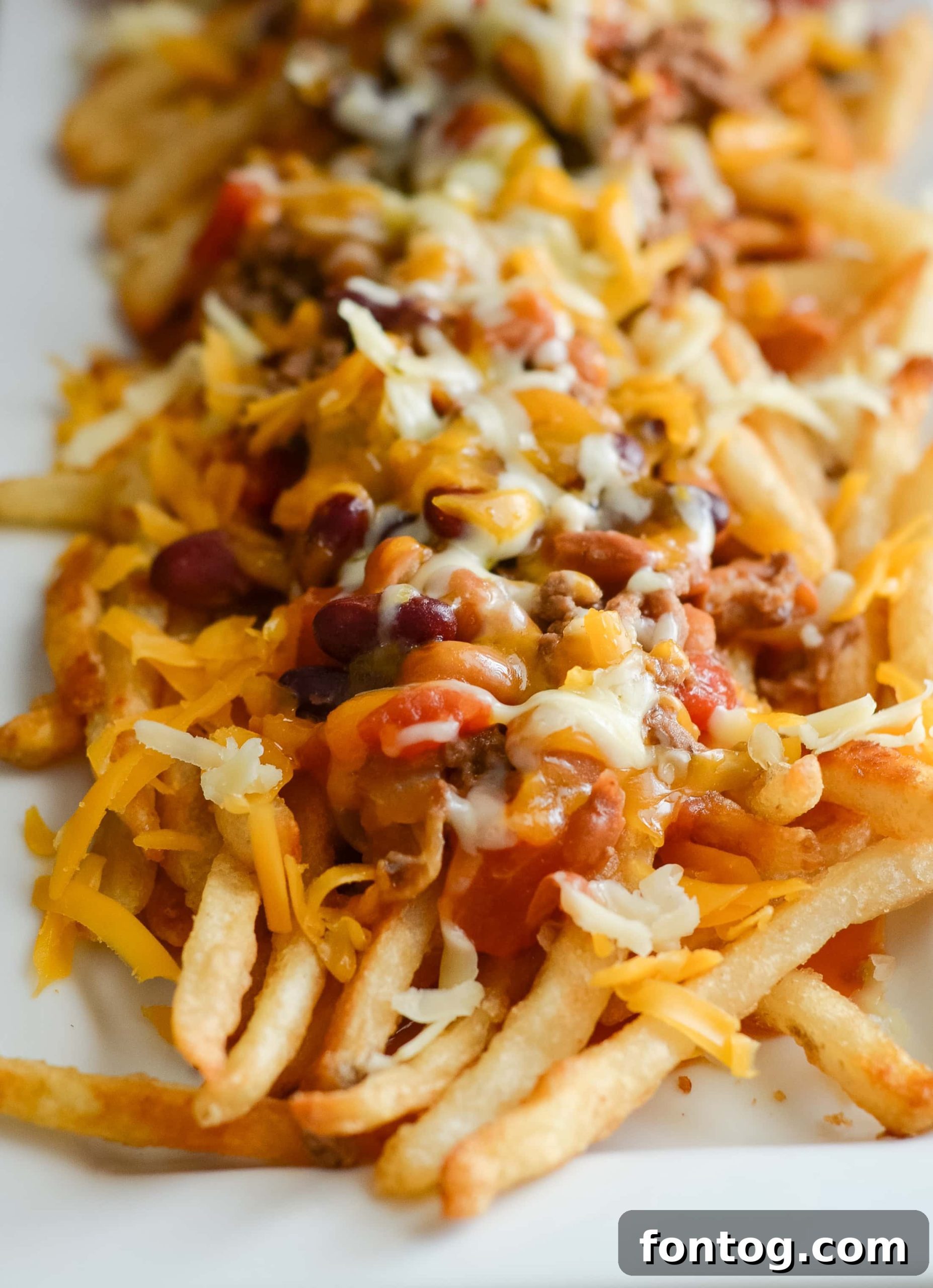 Nacho Chili Cheese Fries