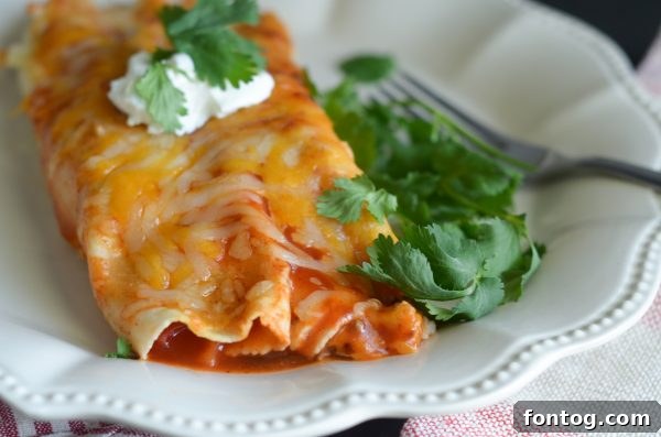 Crispy air fryer beef enchiladas, a quick and delicious meal