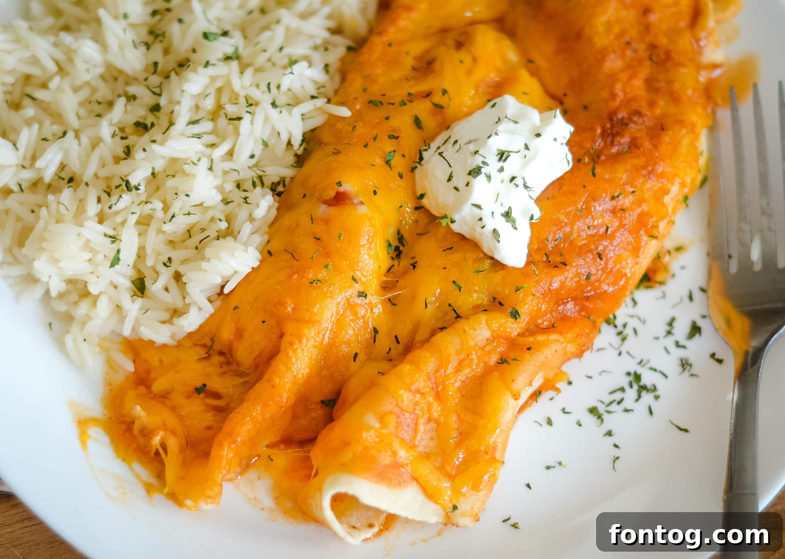 Ninja Foodi Chicken Enchiladas