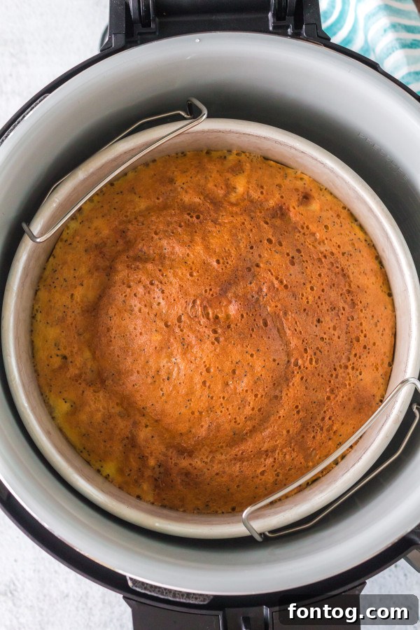 65 Simple Ninja Foodi Recipes for Quick Meals 3 Moist Lemon Poppy Seed Cake baked in Ninja Foodi