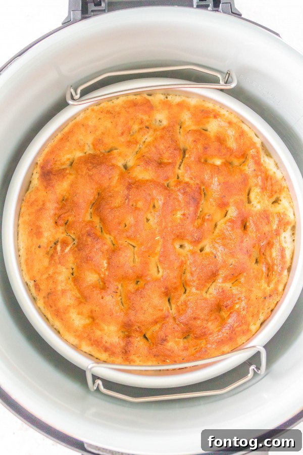 65 Simple Ninja Foodi Recipes for Quick Meals 4 Freshly baked Ninja Foodi Focaccia bread