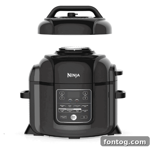 65 Simple Ninja Foodi Recipes for Quick Meals 5 Ninja Foodi Multi-Cooker