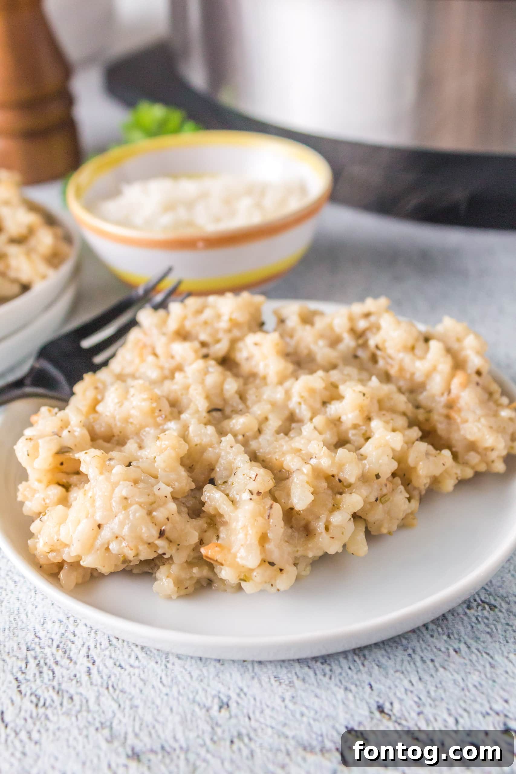 Ninja Foodi Parmigiano Risotto