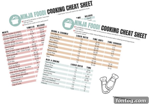 65 Simple Ninja Foodi Recipes for Quick Meals 6 Ninja Foodi Cheat Sheet Printable