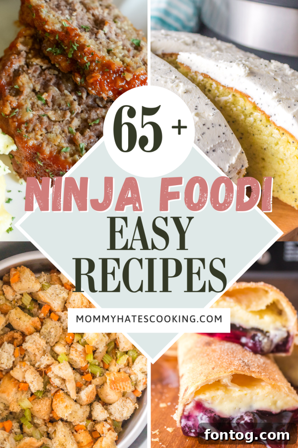 65 Simple Ninja Foodi Recipes for Quick Meals 73 Collection of various Ninja Foodi recipes