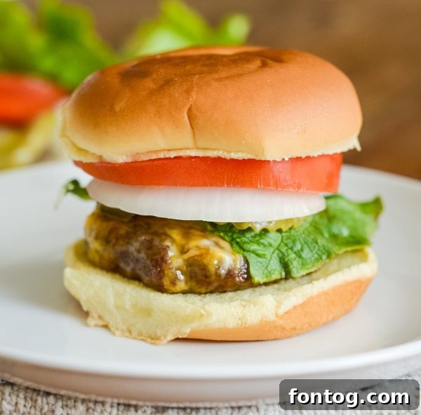 Air Fryer Cheeseburgers: Quick, Crispy, Delicious 2 Air Fryer Cheeseburgers