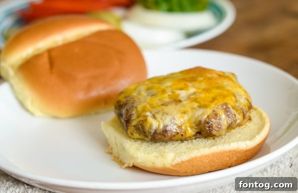 Air Fryer Cheeseburgers: Quick, Crispy, Delicious 3 Air Fryer Cheeseburgers
