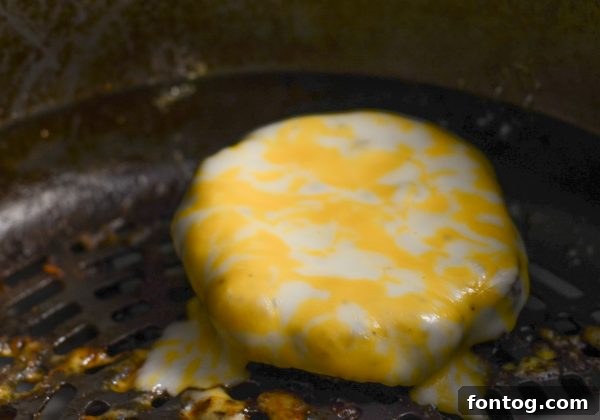 Air Fryer Cheeseburgers: Quick, Crispy, Delicious 5 Air Fryer Cheeseburgers