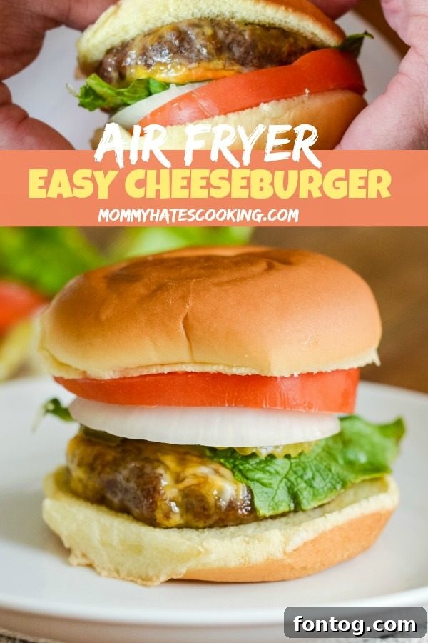 Air Fryer Cheeseburgers: Quick, Crispy, Delicious 9 Air Fryer Cheeseburgers
