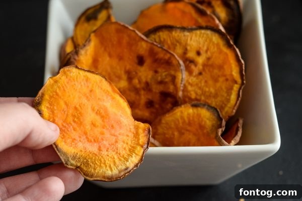 Perfectly golden and crispy air fryer sweet potato chips, seasoned and ready to eat.