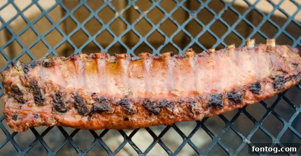 Mouth-watering baby back ribs cooked over a campfire