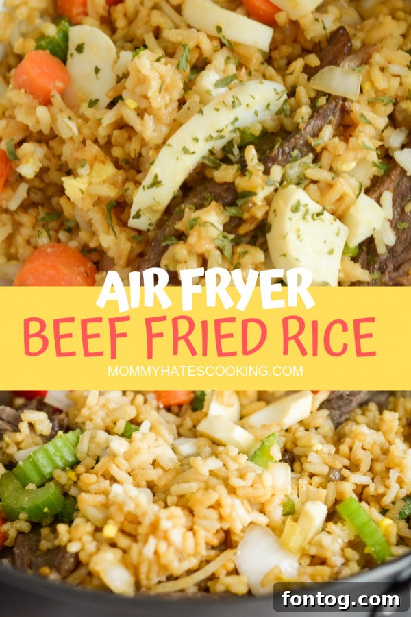 Beautifully presented Air Fryer Beef Fried Rice, a full meal shot