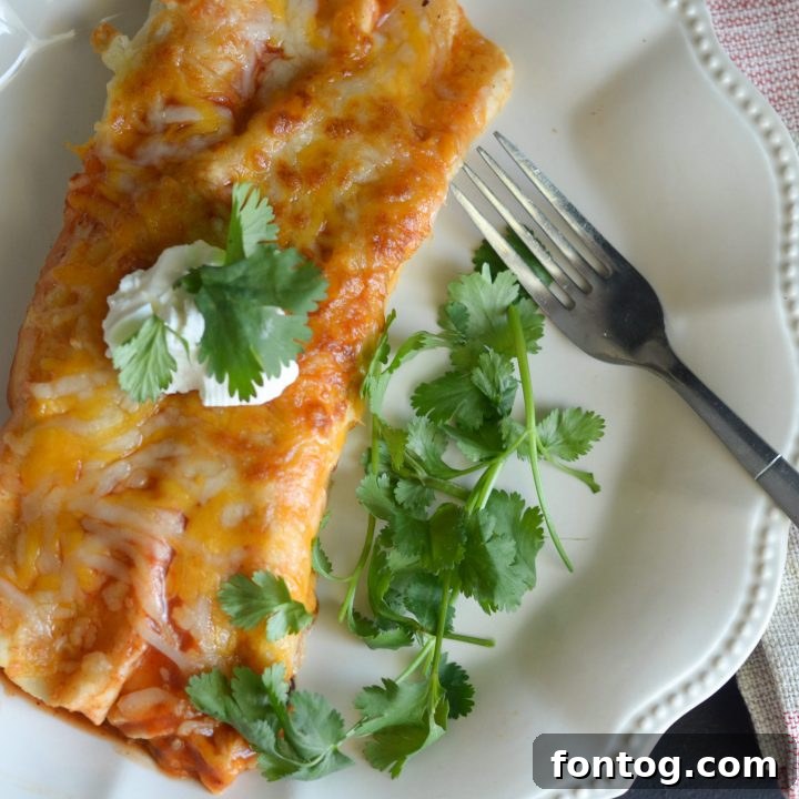 Crispy Air Fryer Cheesy Beef Enchiladas, a quick and delicious dinner solution.