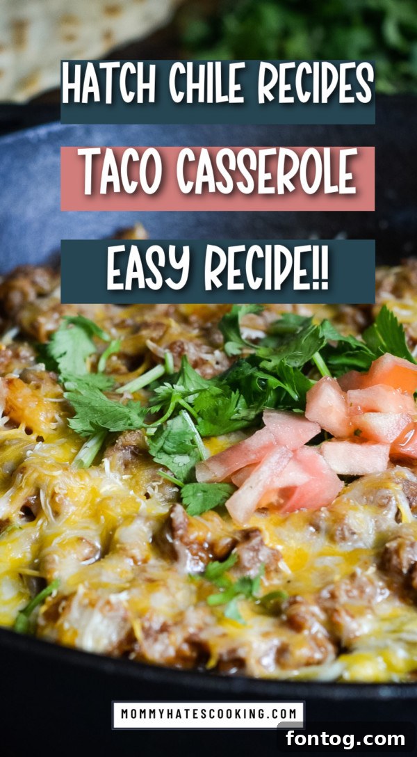 Roasted Hatch Chile Tacos 13 hatch chile tacos