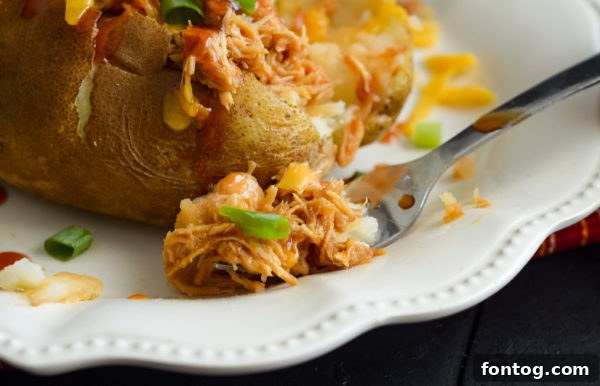 Easy Ninja Foodi Slow Cooker Pulled BBQ Chicken 5 A selection of barbecue sauces for your Ninja Foodi Slow Cooker BBQ Chicken.