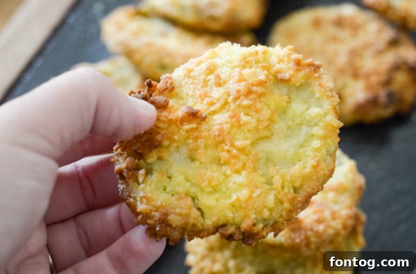 Crispy Gluten-Free Air Fryer Fried Green Tomatoes 4 Close-up of crispy fried green tomatoes