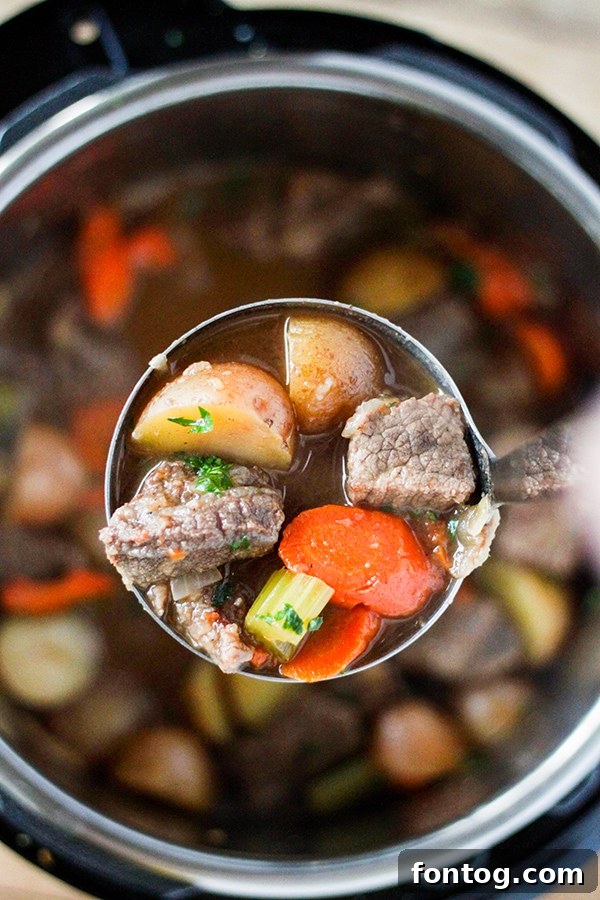Pressure Cooker Beef Stew