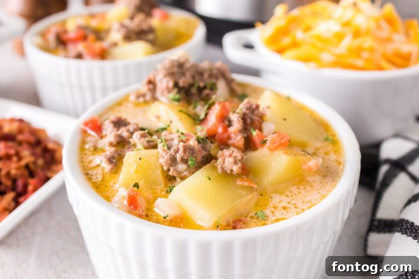 ninja foodi cheeseburger soup