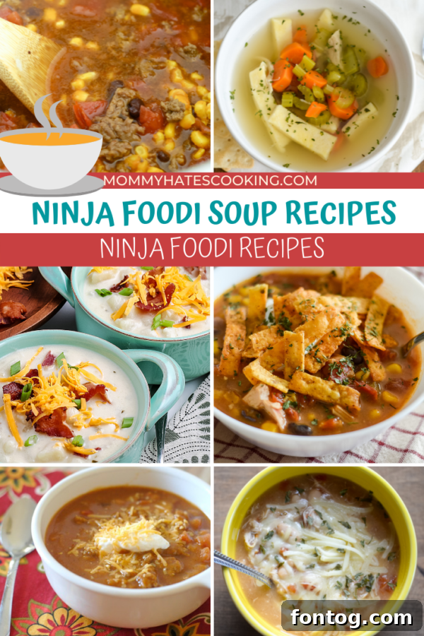 NINJA FOODI SOUP RECIPES banner